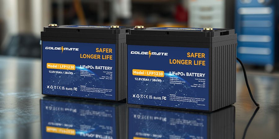 12V vs 24V LiFePO4 Battery: Which Is Right for You? - Goldenmate Battery