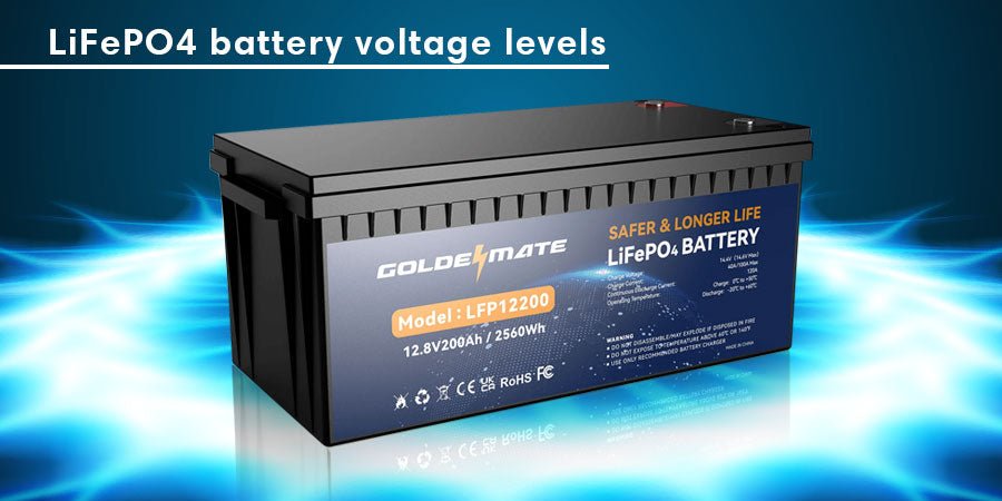 Guide to LiFePO4 Lithium Battery Voltage Charts: 48V, 24V, 12V - Goldenmate Battery