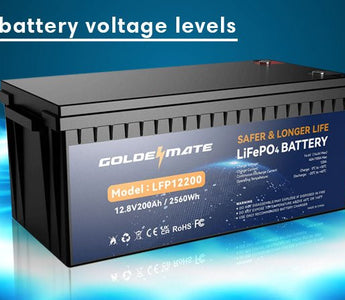 Guide to LiFePO4 Voltage Charts (3.2V, 12V, 24V & 48V)