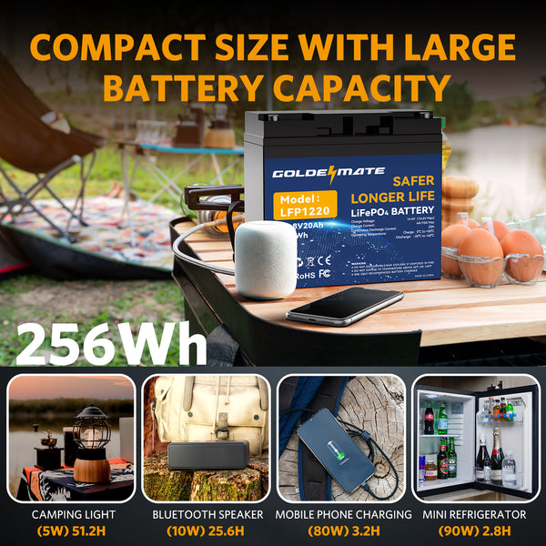 12V 20Ah LiFePO4 Lithium Battery, Built-in BMS, 256Wh Energy