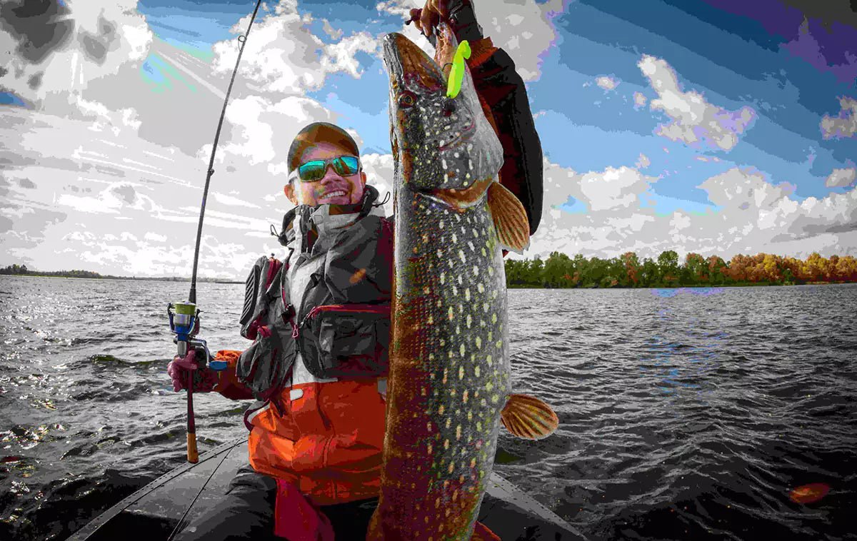 the best fish finder batteries