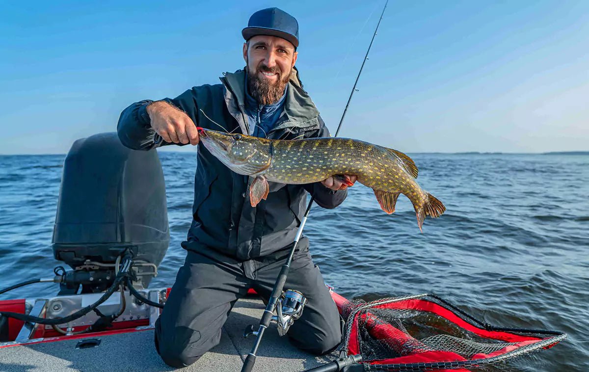 the best fish finder batteries