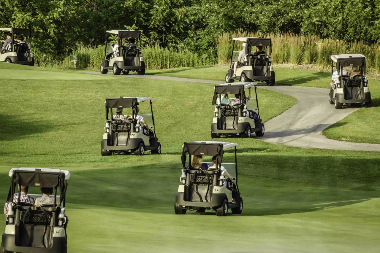 lithium battery lifepo4 for golf cart