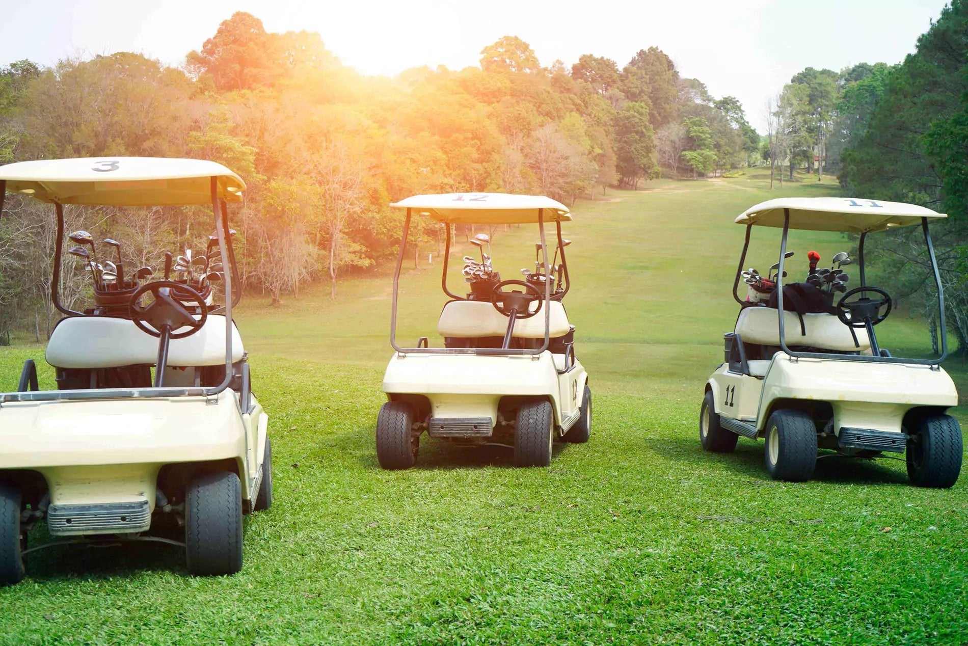 lithium battery lifepo4 for golf cart