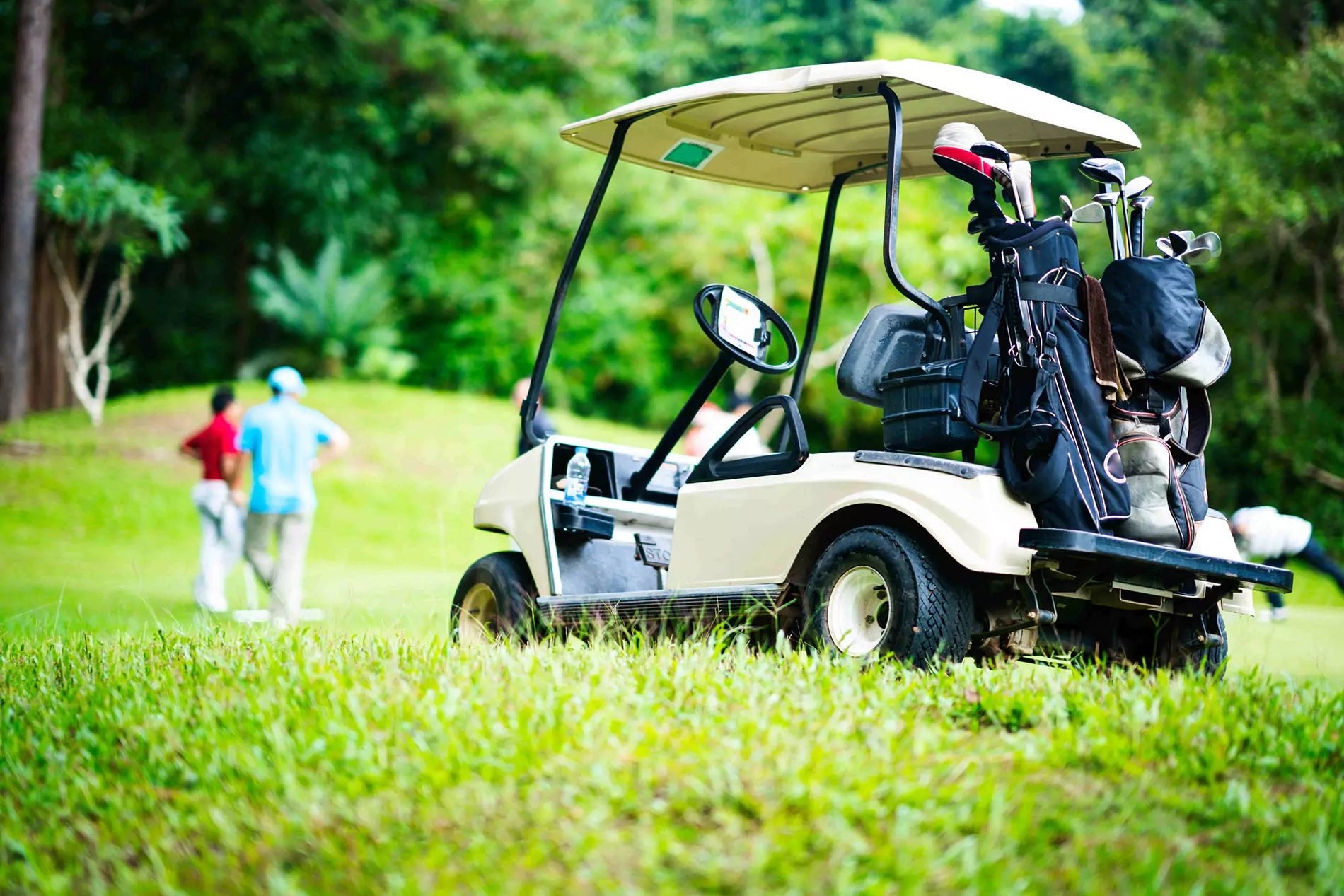 lithium battery lifepo4 for golf cart